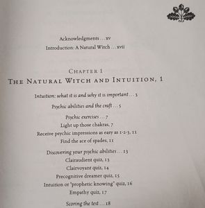 Natural Witchery Book